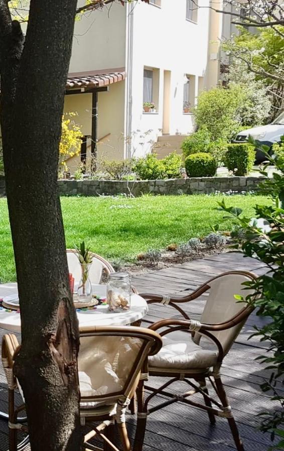 Vanilla Timisoara